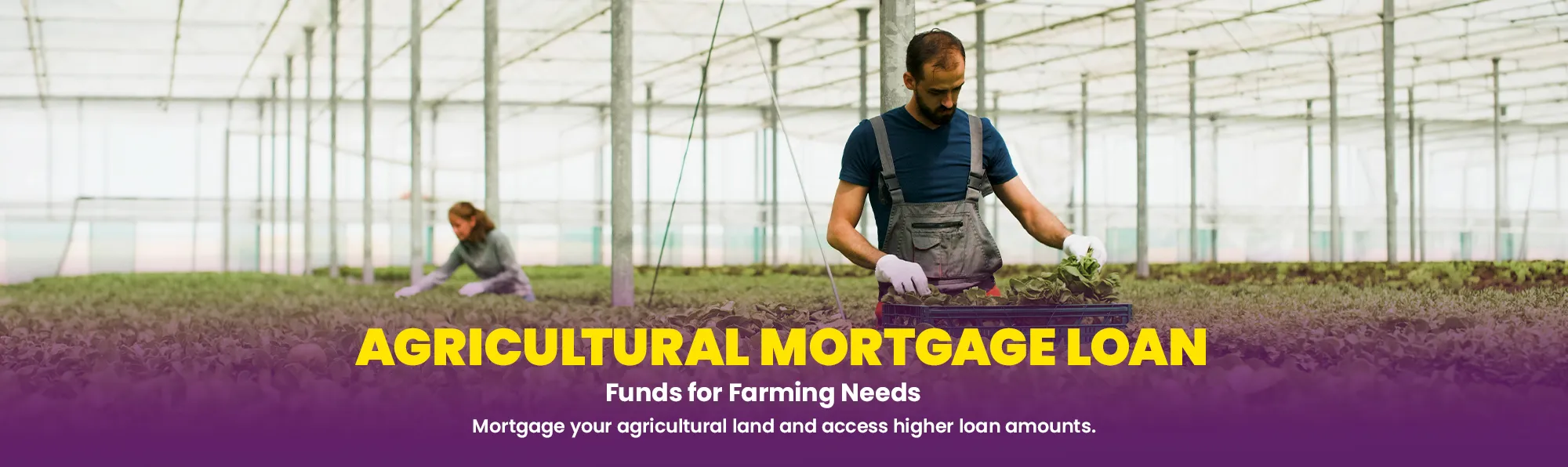 Agricultural Mortgage Loan(1)