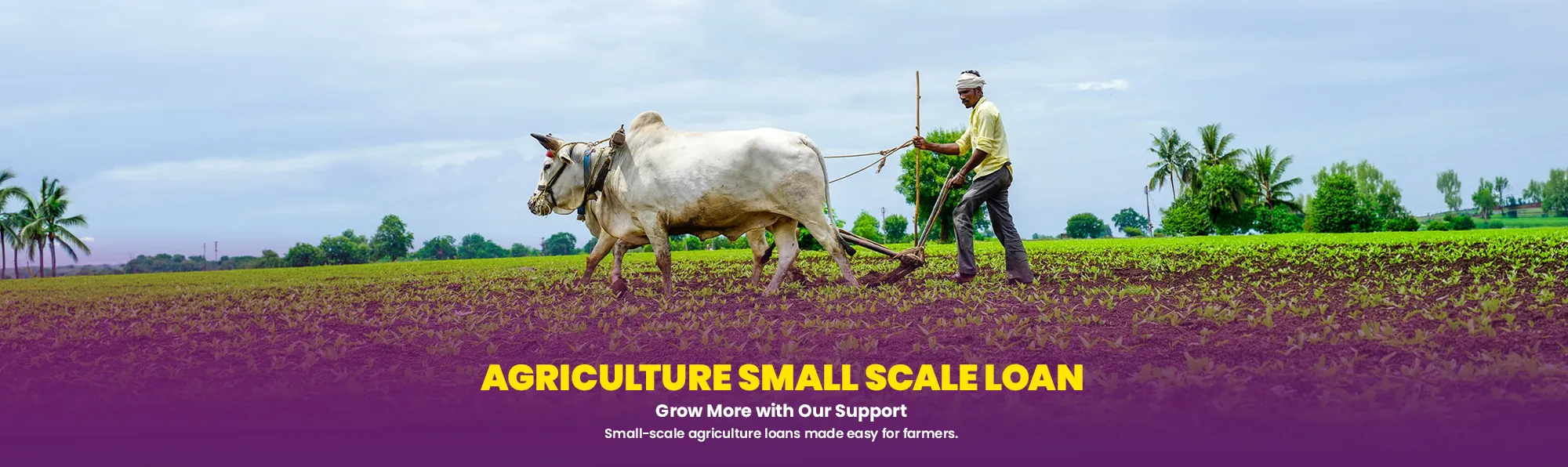 Agriculture Small Scale Loan (1)